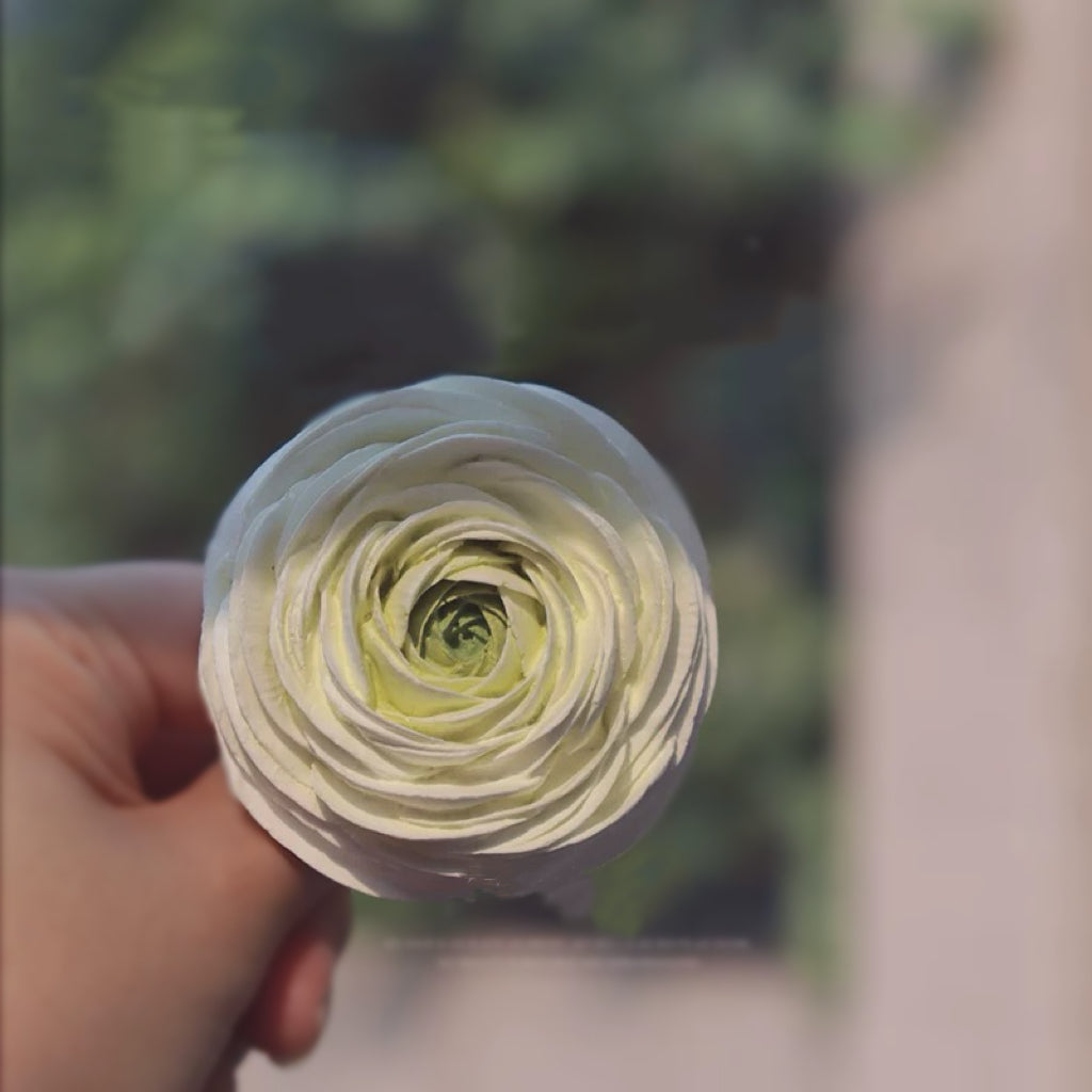 Cute Handmade Peony Flowers, Car Passive Diffuser and Air Freshener